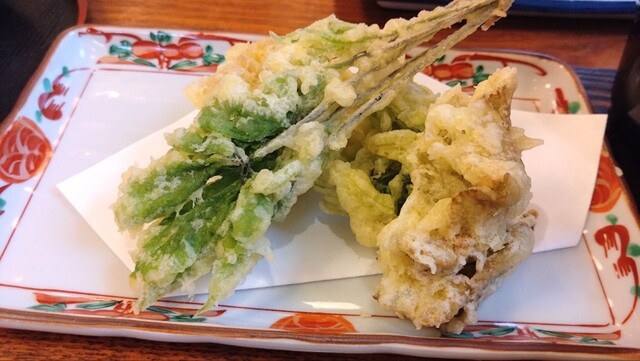 尾瀬野 - 檜枝岐村その他（旅館・民宿）の写真