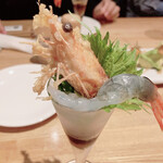 ISOGAMI　FRY　BAR - 