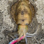 セブンイレブン - 料理写真:セブンでは売ってないですよw