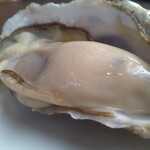ビストロ ハッチ - 1個写真だと大きさ比較ができないがかなり大きい牡蠣
