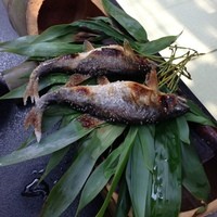 奥貴船 兵衛 - 