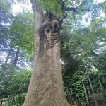 一条流がんこ総本家分家四谷荒木町 - 神宮外苑