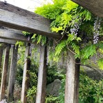 ピアット スズキ チンクエ - 