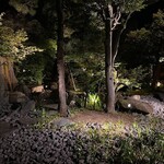 ピアット スズキ チンクエ - 