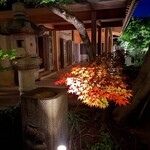 ピアット スズキ チンクエ - 