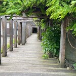 ピアット スズキ チンクエ - 