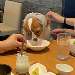 Regina Resort Karuizawa Mikage Yosui