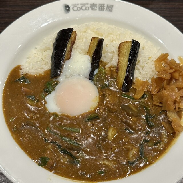 Curry House CoCo Ichibanya Habino Kashiyama Ten