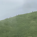 大室山 山頂売店 - 