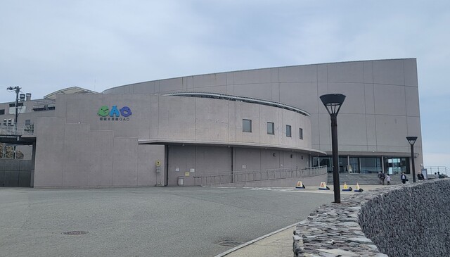 男鹿水族館GAO ミュージアムショップ（オガスイゾクカンガオ ミュージアムショップ） - 男鹿市その他（ソフトクリーム）の写真