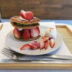 木下茶園 - 横からの図