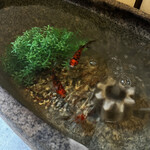 きんぎょcafe 柳楽屋・陽だまり - 