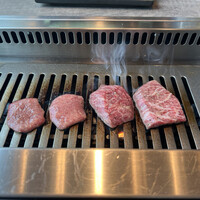 USHIGORO S. SHINJUKU - 