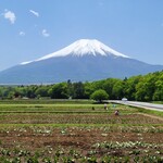 Pepa Mun - 花の都公園からの富士