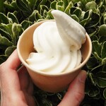 真壁豆富店 - 秘伝豆豆乳ソフト紙カップ入り