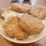 205978726 - スペシャルカツ丼