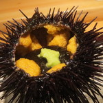 神保町 傳 - 造里：じぇじぇじぇ ー鮑と雲丹ー2