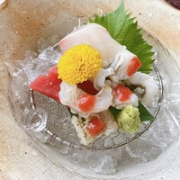 京料理 先斗町 富美家 - 