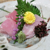 伊豆の旬 やんも 丸の内店 - 造り　川奈港の地魚2点盛り　鯵　めじまぐろ