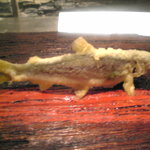 天麩羅屋 メーザエスタシオン - 