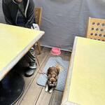 そば道場 ななくぼ - 