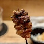 鳥しき - 2023.4.  アキレス腱