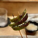 鳥しき - 2023.4.  スナップエンドウ