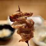 鳥しき - 2023.4.  かっぱ