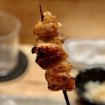 鳥しき - 2023.4.  ぼん