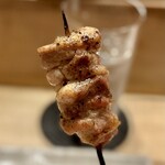 鳥しき - 2023.4.  恥骨