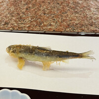 京都祇園 天ぷら八坂圓堂 - 