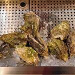 福島 牡蠣と肉たらし ビストロKAI - カウンター席の上には、牡蠣がいっぱいっ！