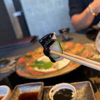 青山 星のなる木 - 