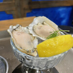 oyster market カキイロハ - 