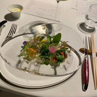 レフェルヴェソンス - 