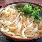 206050745 - かけうどん(中)