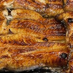 うなぎ 和友 - 鰻アップ