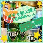 TERRA beer