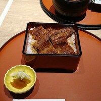 うなぎ和食  しら河 今池ガスビル店 - 上うな重、ひつまぶし