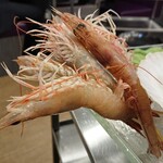 潮福蒸氣石鍋 - 生猛海中蝦