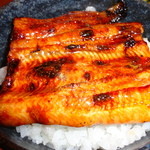 Unagi Takeda - 