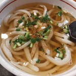 Teuchiudommarugame - かけうどん、薬味と唐辛子をかけていただきます