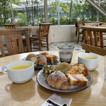 TOOTH TOOTH FISH IN THE FOREST - 