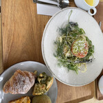 TOOTH TOOTH FISH IN THE FOREST - 