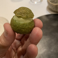 HELIOTROPE - こしあぶら、生ハム