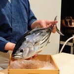 勢麟 - 鰹、小ぶりだが大当たりとのこと