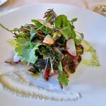 イ・ビスケロ - 