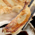 grilled Gyoza / Dumpling