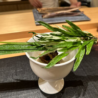 御料理 まつ山 - 