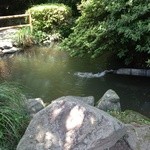 創作川魚料理　料亭 龍泉荘 - お庭の池